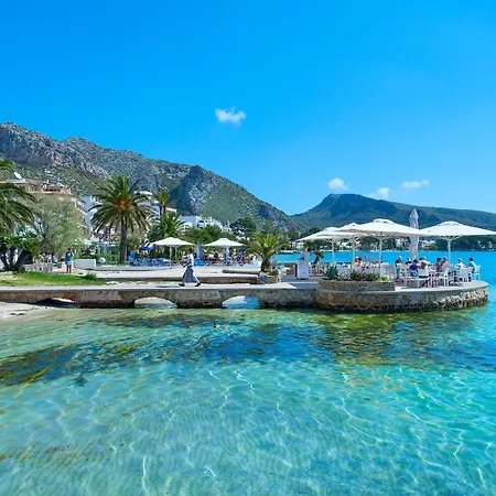 Owl Xisca - 18 Min Walk To The Old Town