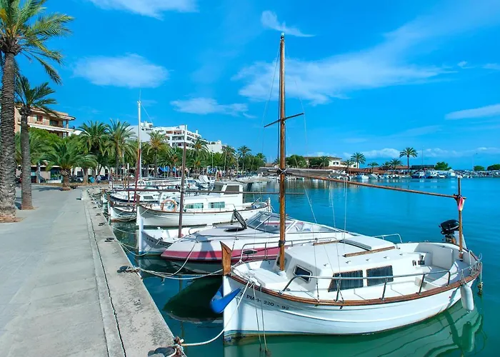 Owl Xisca - 18 Min Walk To The Old Town